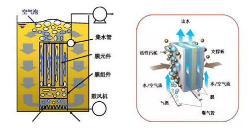 MBR膜.jpg