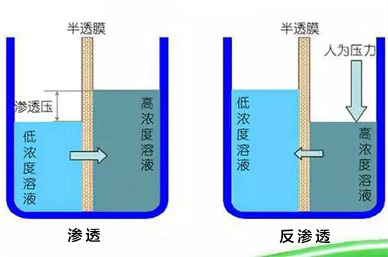 什么是反滲透.png